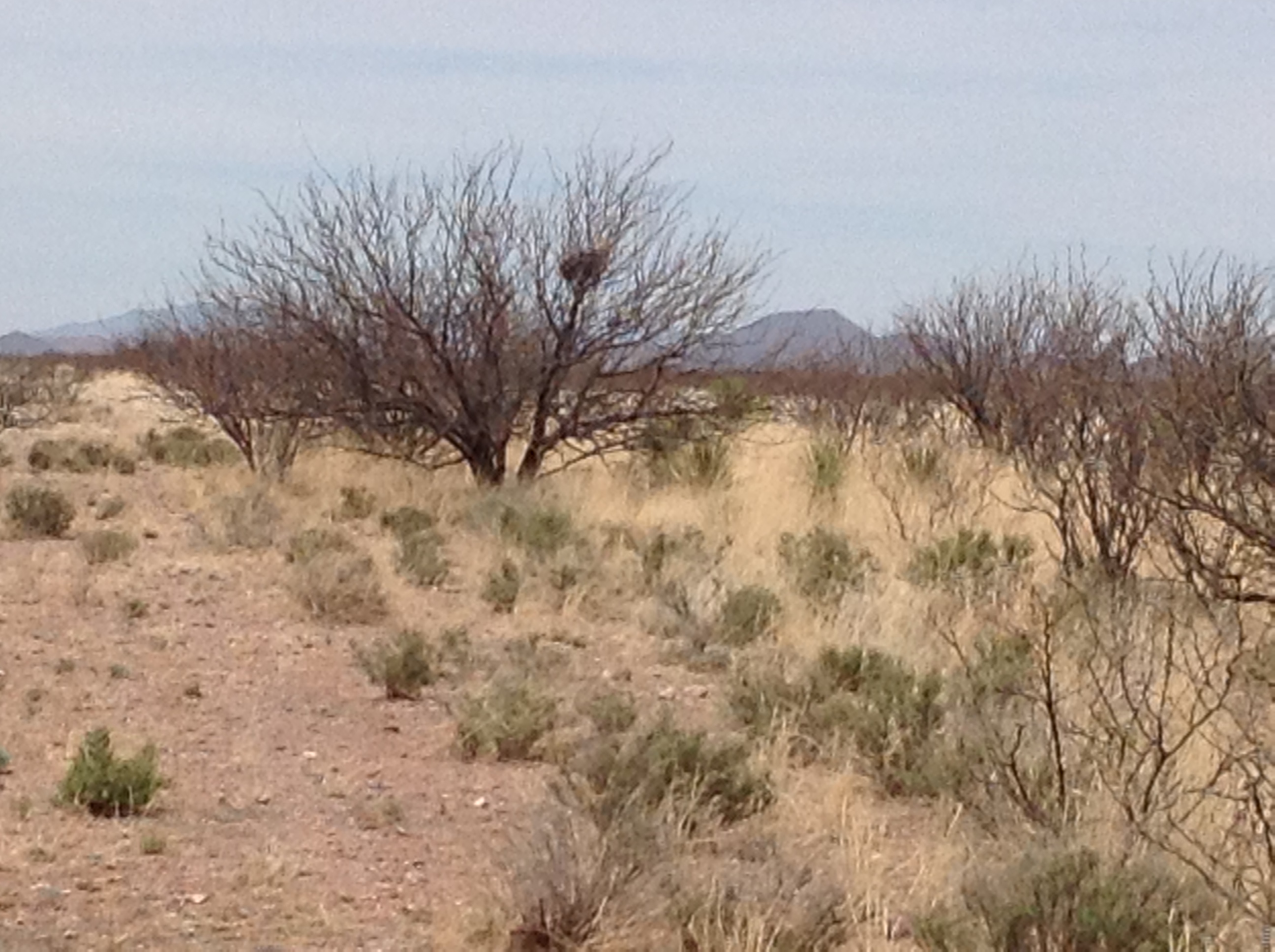 SOLD5.07 Acres Flat Meadow Lands in McNeal, Arizona 85617 BARGAIN