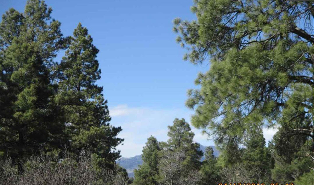 SoldYour Perfect RV lot for the Summer at PAGOSA SPRINGS, CO 81147 CheapLandFarm Bargain