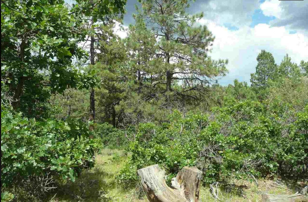 SoldYour Perfect RV lot for the Summer at PAGOSA SPRINGS, CO 81147 CheapLandFarm Bargain