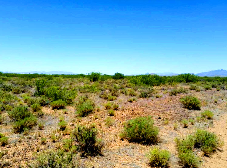 SOLD4.29 Acres Hidden Adventure Land for You, Douglas, Arizona 85607