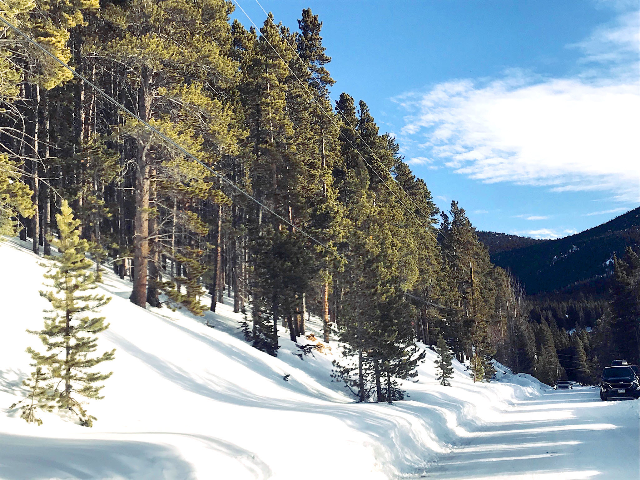 0.36 Acres Beautiful Mountain Land Ready to Build, Idaho Springs, CO 80452 BARGAIN LAND DEALS